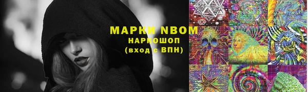 дурь Магас
