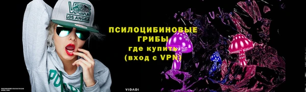 дурь Магас
