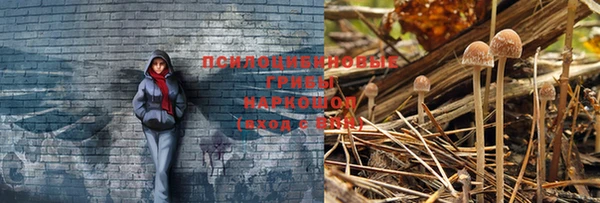 прущая мука Майский