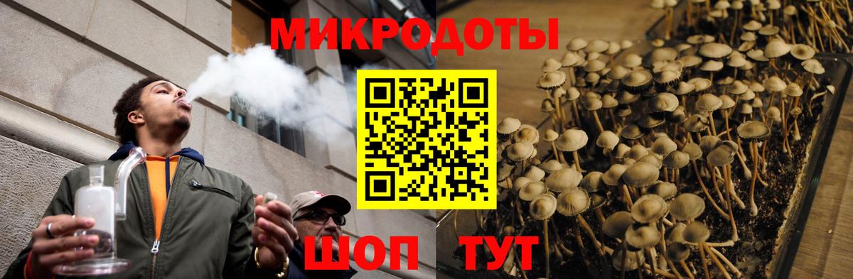 Благовещенск  Галлюциногенные грибы ЛСД  Вход с VPN 